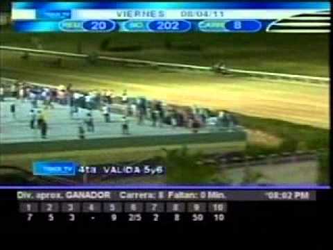 Resumen viernes 8 de abril 2011 - Valencia