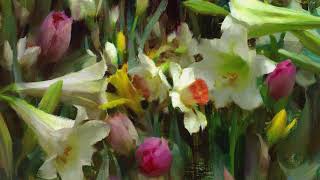 Daniel Keys &#39;Opus&#39; 2018 One-man Show