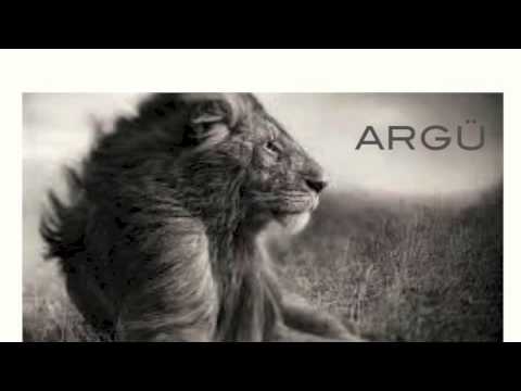 ARGÜ REMIX - Axwell & Sebastian Ingrosso (Roar) Linkin Park