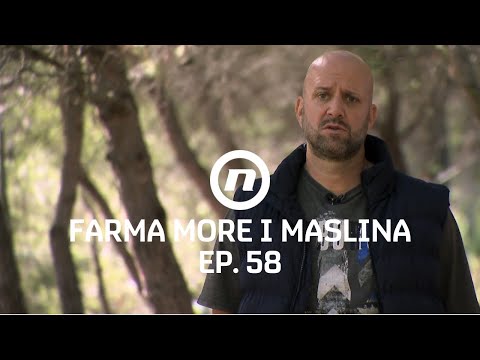 Porota kalkulira - Epizoda 58 | Farma More i Maslina