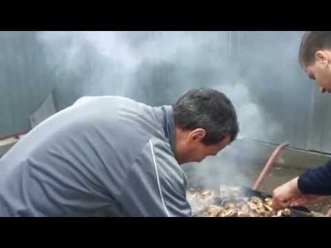 COSTACHE NEGRI 2015 APRILIE (4)