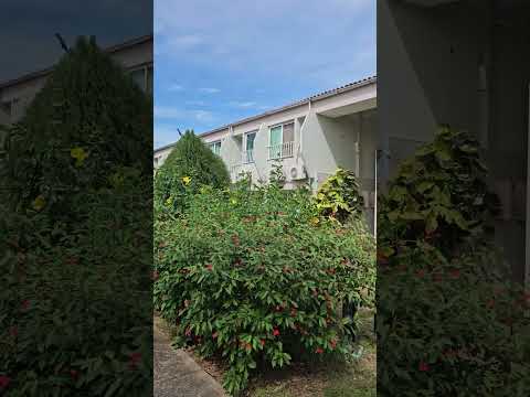 Rancho Luna Hotel in Cienfuegos Cuba on November 11, 2025