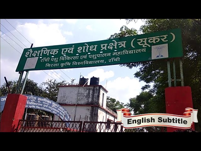 Video Pronunciation of Ranchi in English