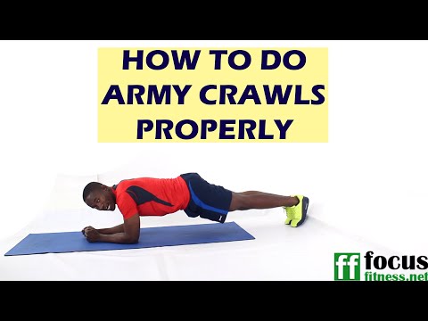 How to Do Plank Ups or Up or Down Planks Exercise of The Day 36