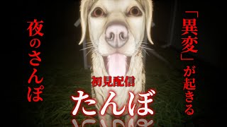 【ホラーゲーム】怖すぎる異変が起きる夜のさんぽ【たんぼ】