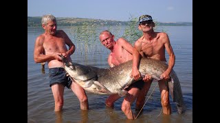 Ссылка