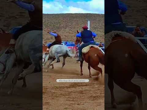 clinero de rio pico chubut checo en cierre de temporadatecka #jineteschubut #muchachitadelsur