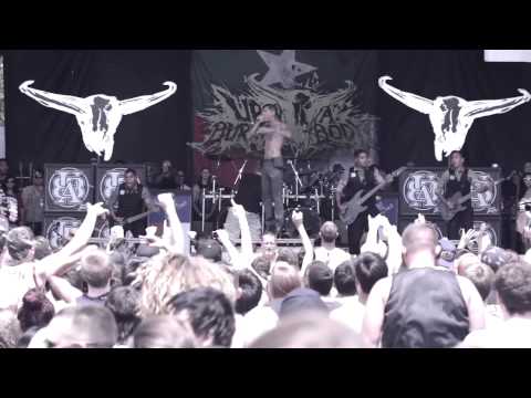 Play Video Youtube Video