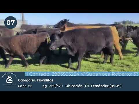 Lote NLL INV - Juan N. Fernández Bs As