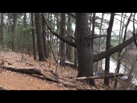 First impressions: Grandia HD collection for Nintendo Switch