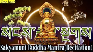 Download lagu ☸Sakyamuni Buddha Mantra(Recitation) Om Mani Muni Maha Muniye Soha|Buddha Shakyamuni Mantra|Monks mp3