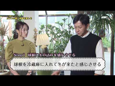 ガラスの中の球根: こうやって植物を育てます トピックス