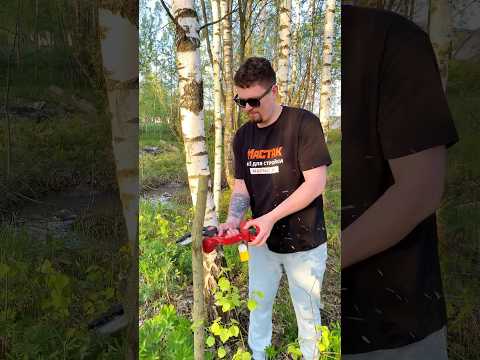 фото мини пила цепная wortex lx cec 2518-1 в чем. all1 xlt set 18в. вортекс вортэкс аккумуляторная акб 18 0