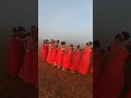 Araku Tribal Dance ️ Dhimsa Dance Araku Viral