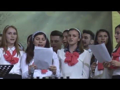 Grupul Mixt Ghiroda - Camin 2014