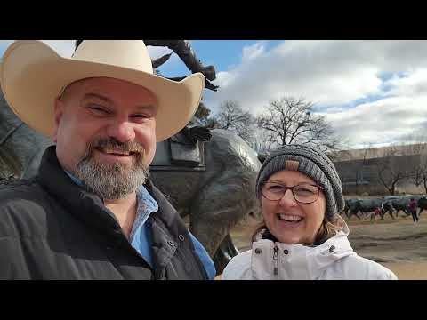 Cows in the Middle of a Major City?? Well Sort Of. #OldPeopleProbsRV