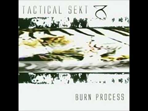 Tactical Sekt - Burn Process (Remix By Reality)