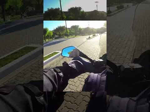 Conocías Cruza de caña?