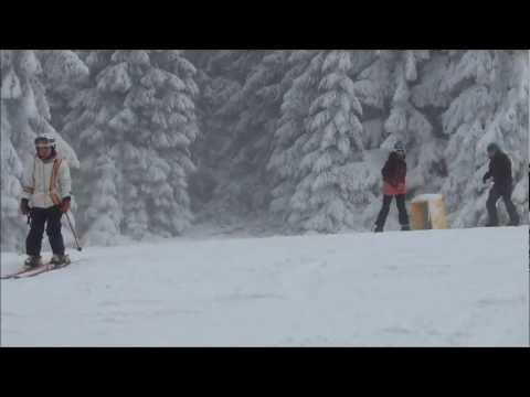 Erbeskopf   26.1.2013  (HD).mp4