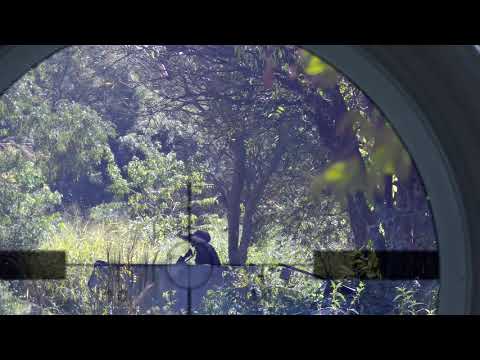 My M110 SASS is back