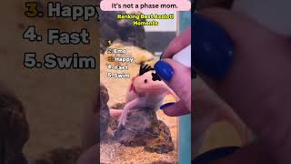 Download lagu Best Axolotl Moments mp3 Download lagu Best Axolotl Moments mp3
