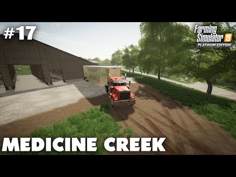 Medicine Creek #17 Buying Our First Cows, Farming Simulator 19 Timelapse, Seasons