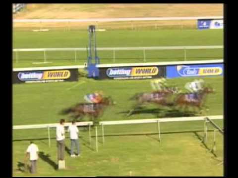 Quite Something brilha na África do Sul