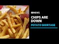 Potato shortage wreaks havoc on hot chip supply | ABC News