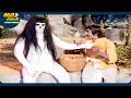 Jaganmohini Latest Telugu Full Comedy Scene Narasimha Raju ThappakaChudandi9