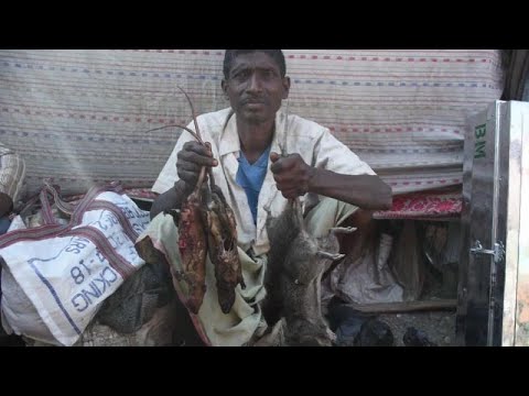 Christmas: boiled rat in spicy sauce for Christmas Eve