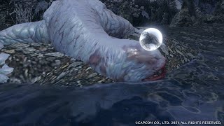 【MHR】突発モンハン配信
