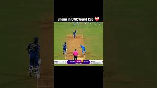 Shami in World Cup #fypシ゚viral #cricket