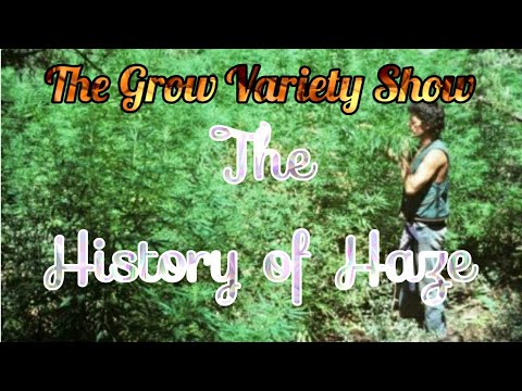 The History of Haze (The Grow Variety Show ep.135)