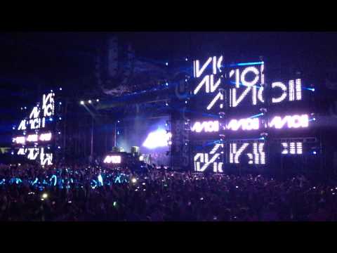 UMF KOREA 2013 Avicii Levels