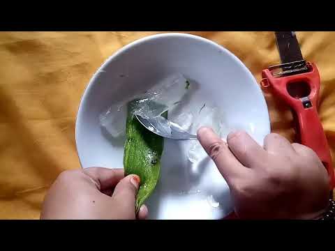 download lagu mp3 mp4 Cara Menghilangkan Komedo Menggunakan Lidah Buaya, download lagu Cara Menghilangkan Komedo Menggunakan Lidah Buaya gratis, unduh video klip Cara Menghilangkan Komedo Menggunakan Lidah Buaya