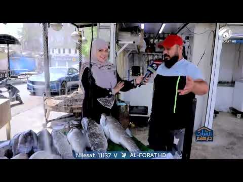 شاهد بالفيديو.. السليتي والكاريبي والكطان ✅ اجود انواع السمك تجده في الشواكة ببغداد ♥