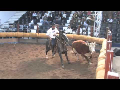 Raio de Santa Odessa