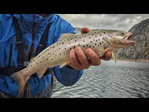 Pivsko jezero l Piva Lake l Crna Gora l Montenegro l Varaličarenje pastrmke l Trouth spining