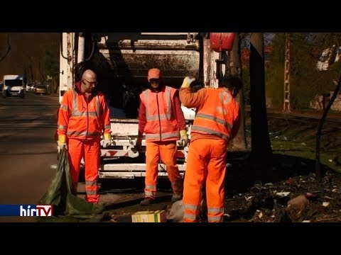 PANASZKÖNYV - A lomtalanítás veszélyei