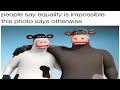 Barnyard GBA Speedrun 43 55 80