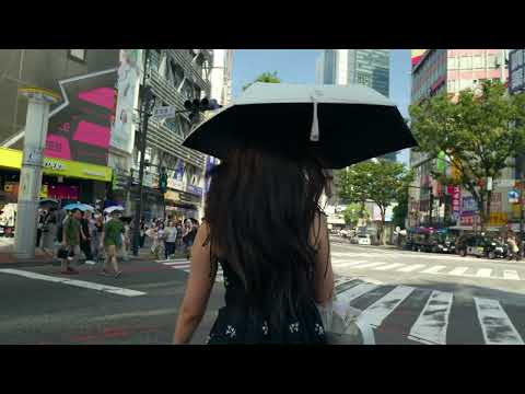 Notre voyage au Japon