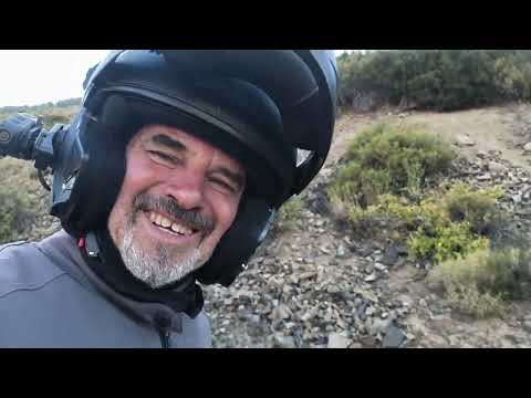 Desde las ovejas neuquén hacia provincia de la Pampa