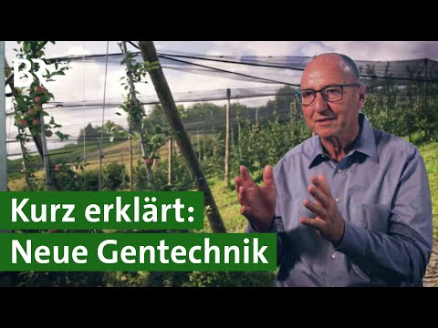 Wie funktioniert die neue grüne Gentechnik? | Pro und Contra | Unser Land | BR
