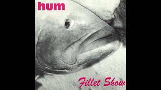 09 - Pocket - Hum (Fillet Show)