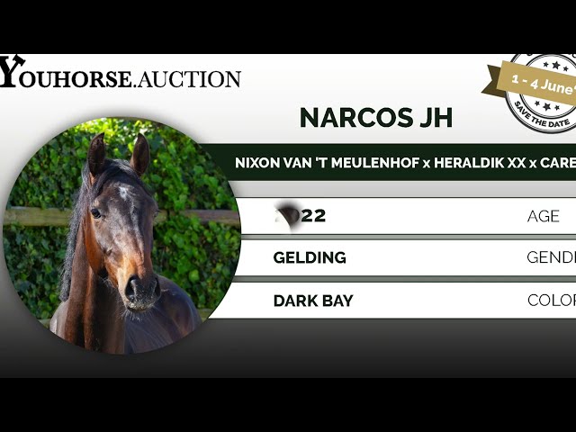 Narcos JH