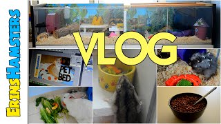 BREAKFAST, CAGE DISASTER &amp; EINY UPDATES | Sept 2014