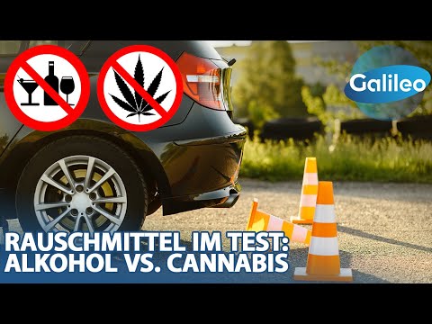 Auto fahren im Rausch: Alkohol vs. Cannabis