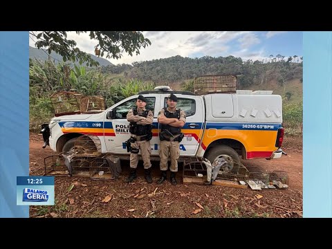 Gaiolas e pássaros da fauna silvestre apreendidos pela polícia na zona rural de Rio Vermelho