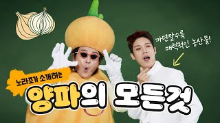 노라조가 알려주는 우리 농산물 [양파편] | 농림축산식품부 X 노라조