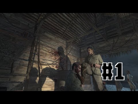 This Game Deserves a Remaster | World At War - #1 "Semper Fi"